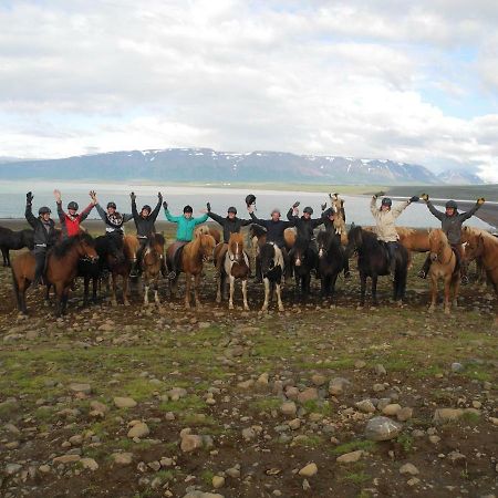 Icelandhorsetours - Helluland Saudarkrokur Ngoại thất bức ảnh