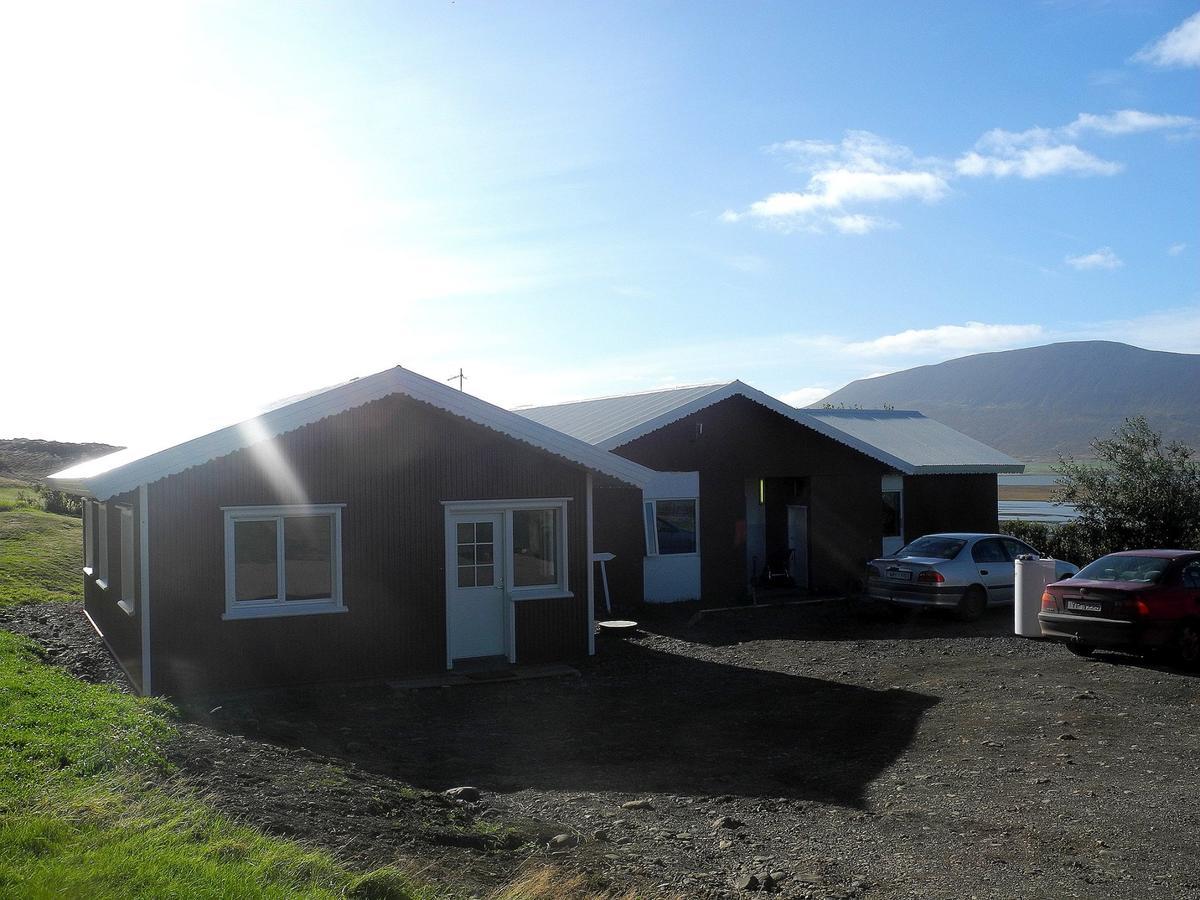 Icelandhorsetours - Helluland Saudarkrokur Ngoại thất bức ảnh