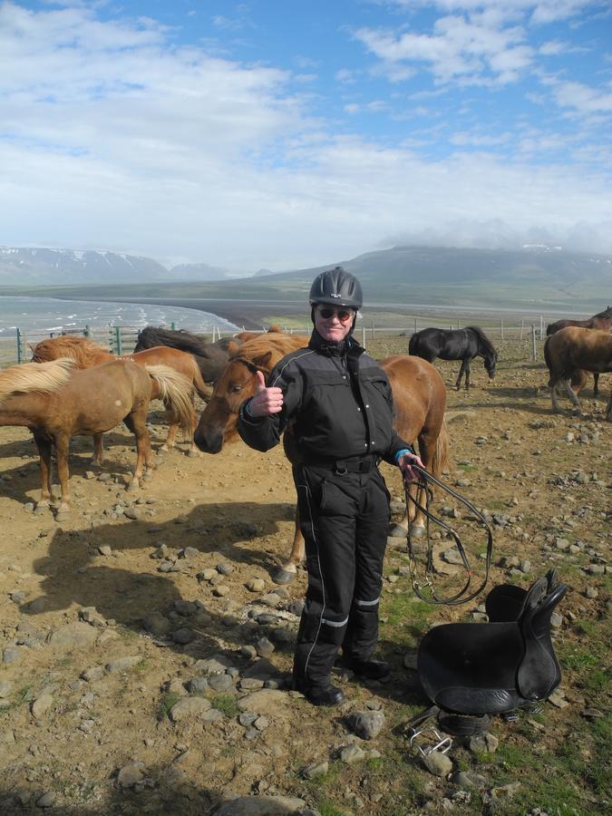 Icelandhorsetours - Helluland Saudarkrokur Ngoại thất bức ảnh