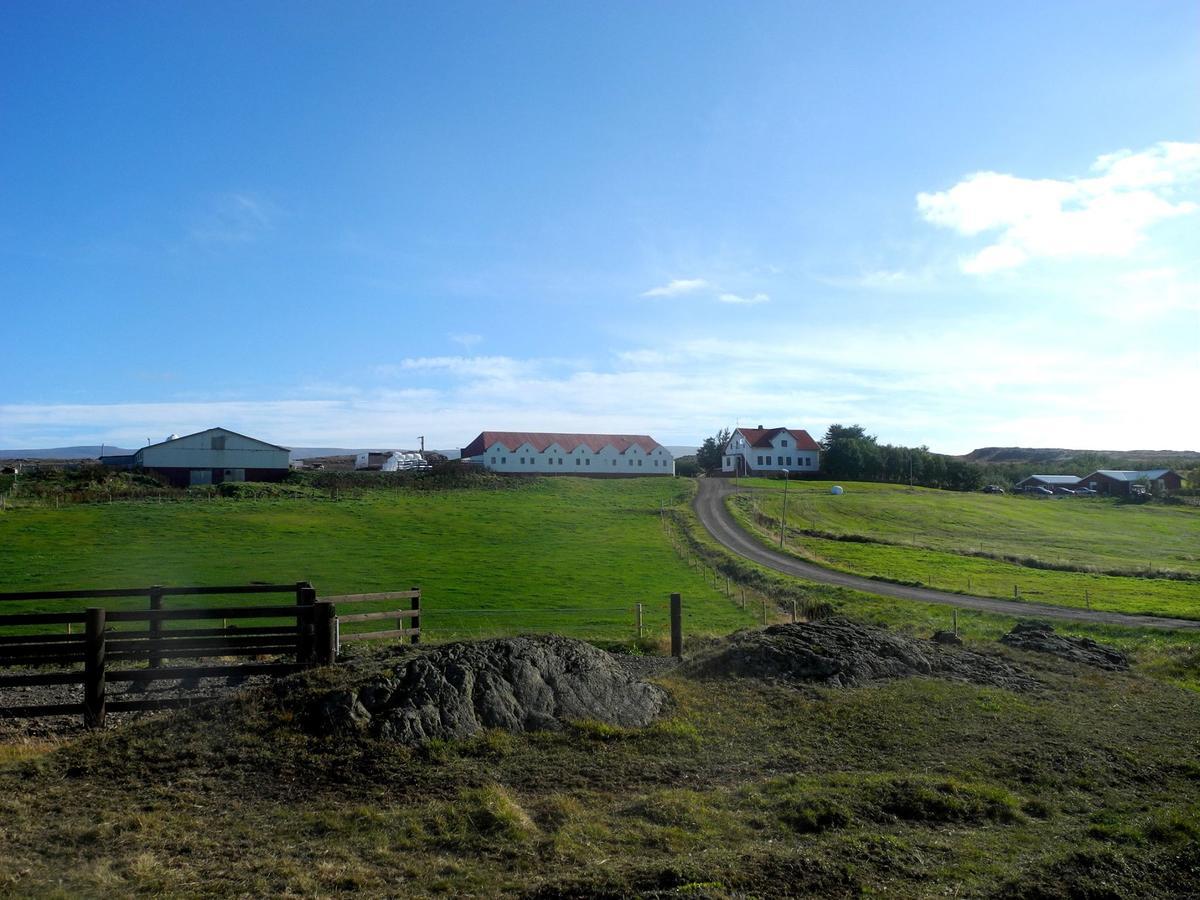Icelandhorsetours - Helluland Saudarkrokur Ngoại thất bức ảnh