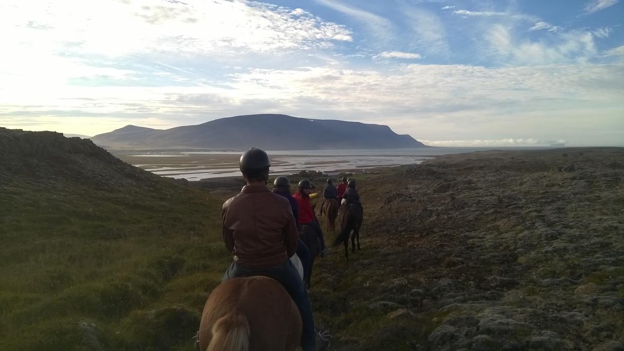 Icelandhorsetours - Helluland Saudarkrokur Ngoại thất bức ảnh