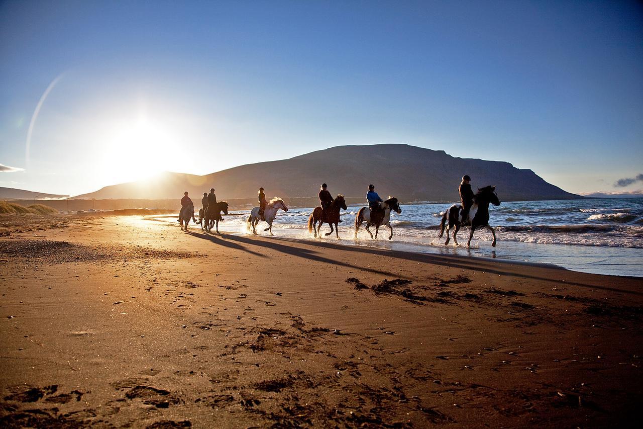 Icelandhorsetours - Helluland Saudarkrokur Ngoại thất bức ảnh